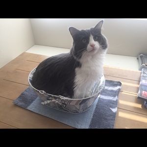 Meet your Posher, Talia